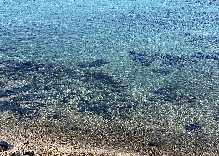Appartement 4 Personnes Avec Piscine Au Cap D Au Pied Du Port Et 5 Mn à Pied De La Du Môle *